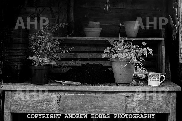 Vellacott Garden 2016-3674