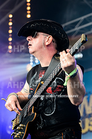 Dr and the Medics - Watchet Music Festival 2022-2878