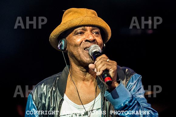 Watchet Festival 2016-5748
