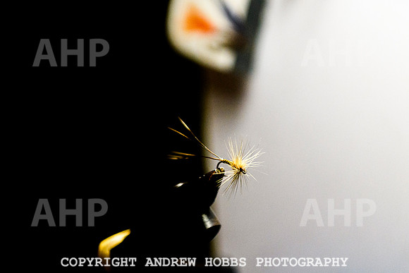 Fly Fishing - Tony Sutton-9713