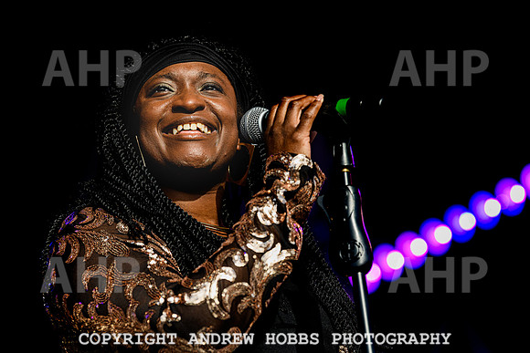 Odyssey - Watchet Music Festival 2022-8468