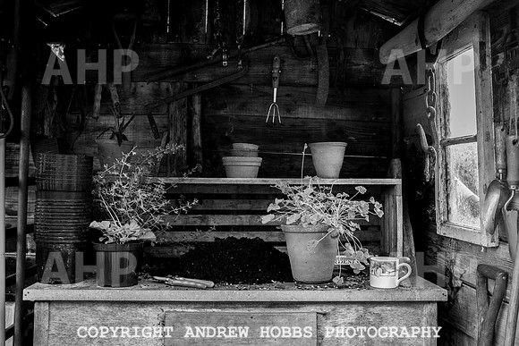Vellacott Garden 2016-3675