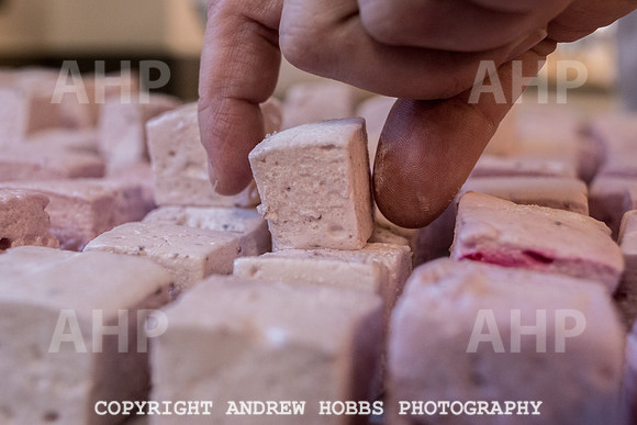 Grown Up Marshmallows - Janet Thompson-4908
