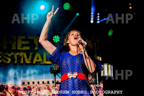 Skinny Lister - Watchet Music Festival 2022-8604
