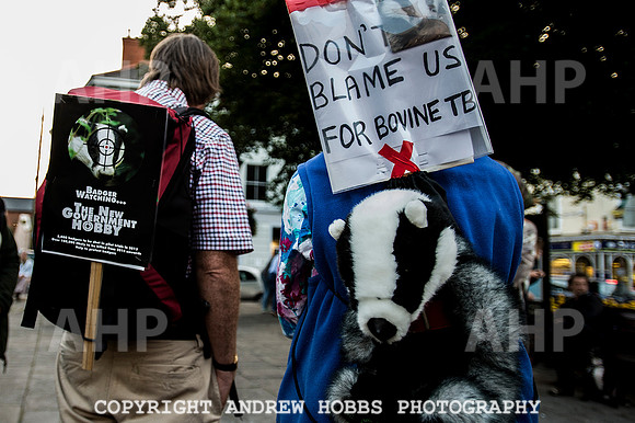 Minehead Badger Cull Protest_8655
