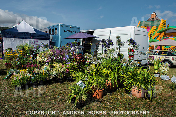 Dunster Country Fair 2014 009