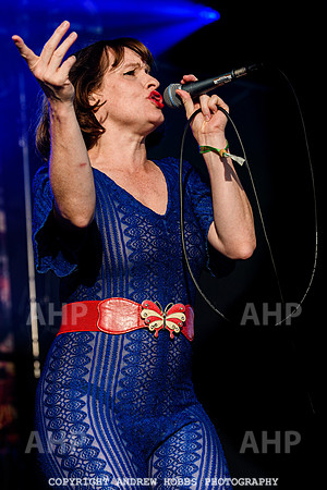 Skinny Lister - Watchet Music Festival 2022-8694