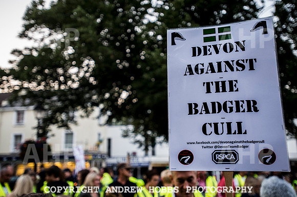 Minehead Badger Cull Protest_8677