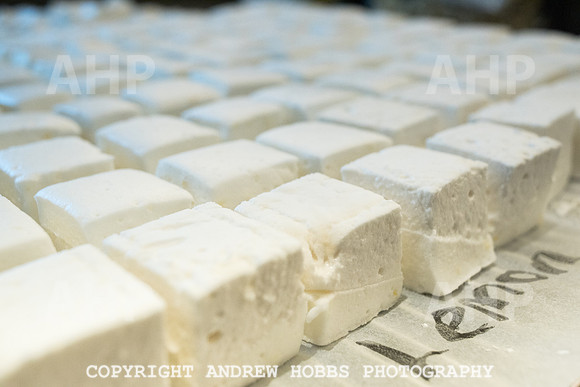 Grown Up Marshmallows - Janet Thompson-4873