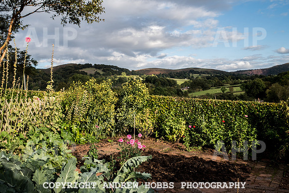 Vellacott Garden 2016-3691