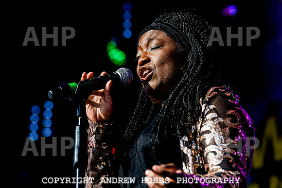 Odyssey - Watchet Music Festival 2022-8281