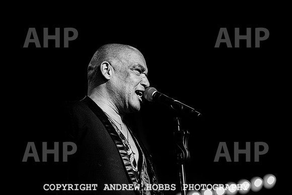 Odyssey - Watchet Music Festival 2022-8345