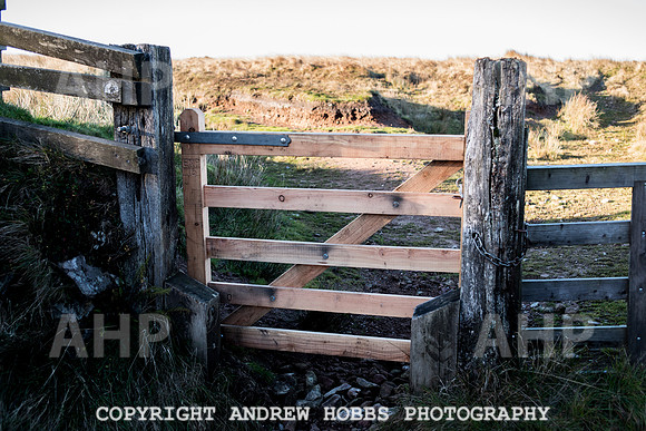 Tony Mann Exmoor National Park-4574