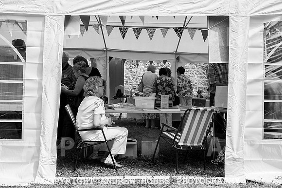 Wambrook Flower Show Centenary 211