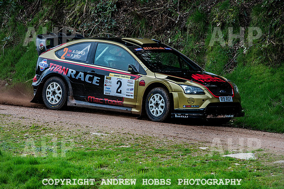 Somerset Stages Rally Chargot Woods_3205