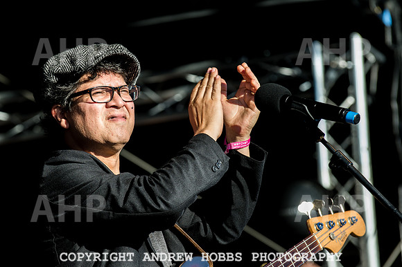 Watchet Festival 2016-5572