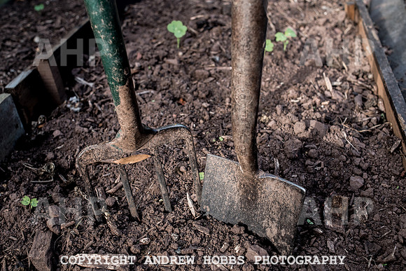 Vellacott Garden 2016-3599