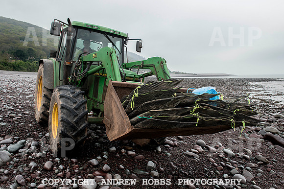 Porlock Oyster Beds 002