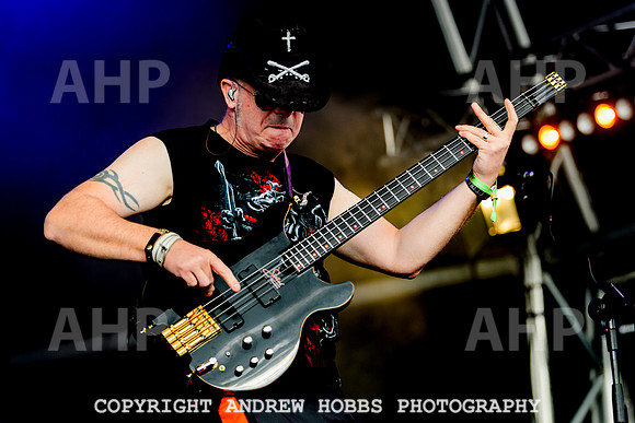 Dr and the Medics - Watchet Music Festival 2022-2822