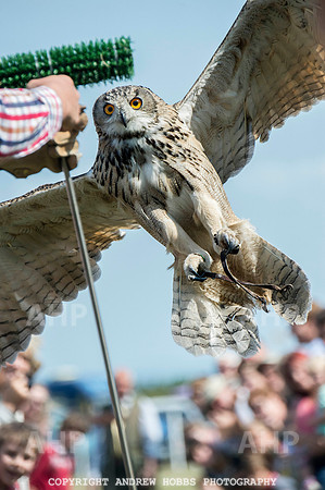 Dunster Country Fair 2014 026