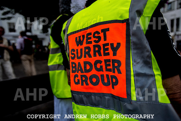 Minehead Badger Cull Protest_8659