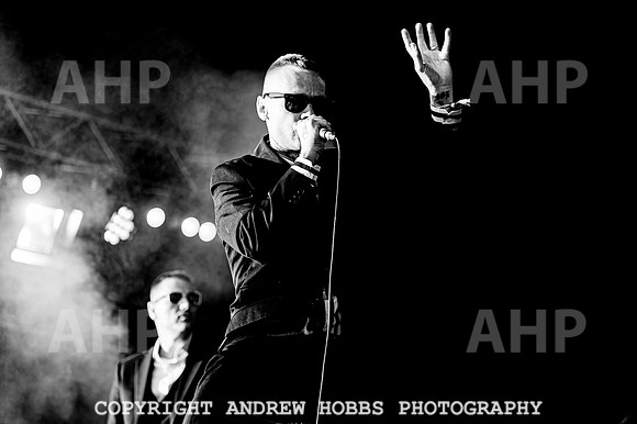 Death of Guitar Pop - Watchet Music Festival 2022-3475