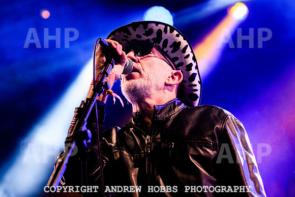 Alabama 3 - Watchet Music Festival 2022-9106