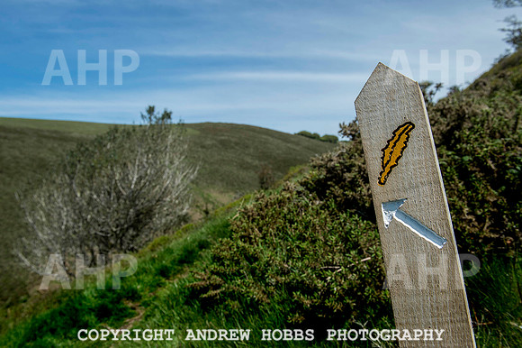 Coleridge Way opening 06