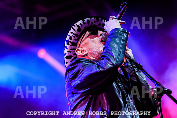 Alabama 3 - Watchet Music Festival 2022-8901