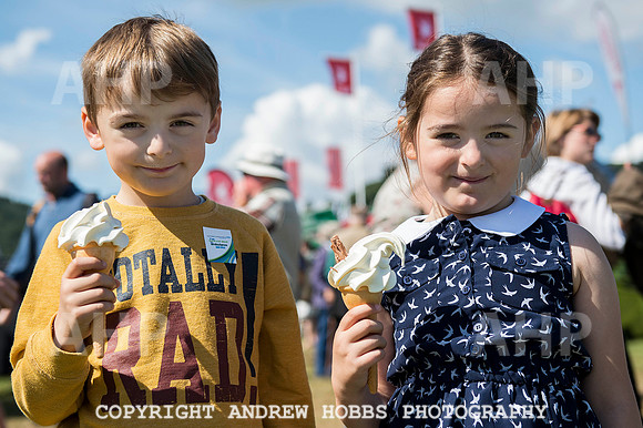 Dunster Show 2014 008