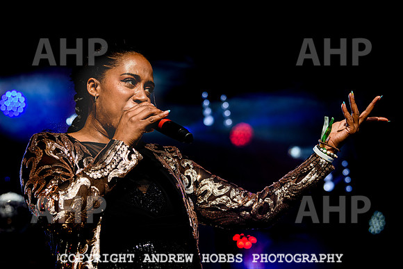 Odyssey - Watchet Music Festival 2022-8359