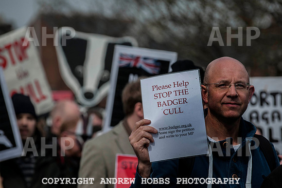 Exeter_march_ against_the_badger_cull 041
