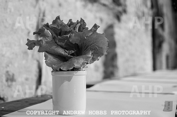 Wambrook Flower Show Centenary 101