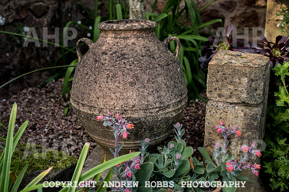 Vellacott Garden 2016-3606