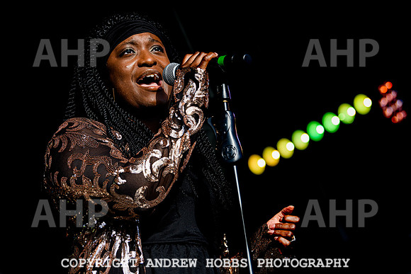 Odyssey - Watchet Music Festival 2022-8459