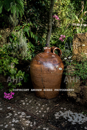 Vellacott Garden 2016-3608
