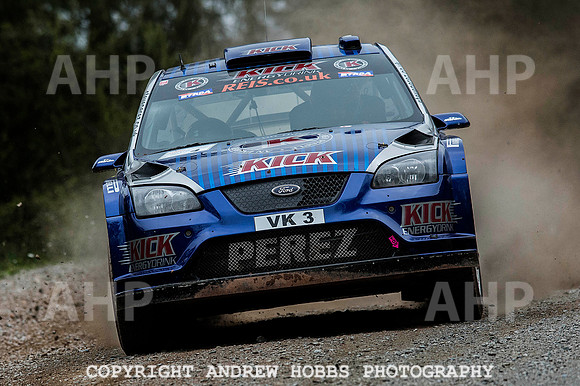 Somerset Stages Rally Chargot Woods_3813