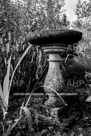 Vellacott Garden 2016-3654