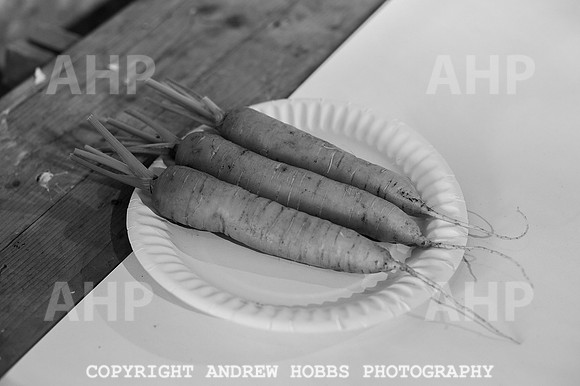 Wambrook Flower Show Centenary 112