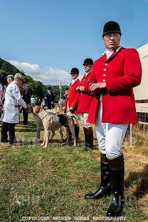 Dunster Country Fair 2014 004