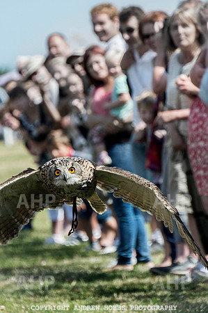Dunster Country Fair 2014 025