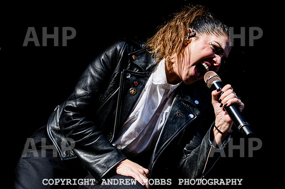 The Interrupters - Beautiful Days 2022-5699