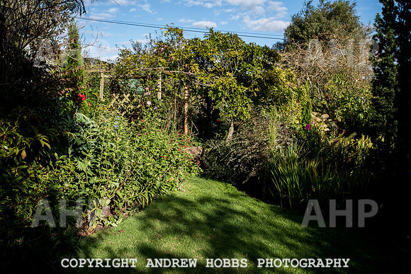 Vellacott Garden 2016-3636