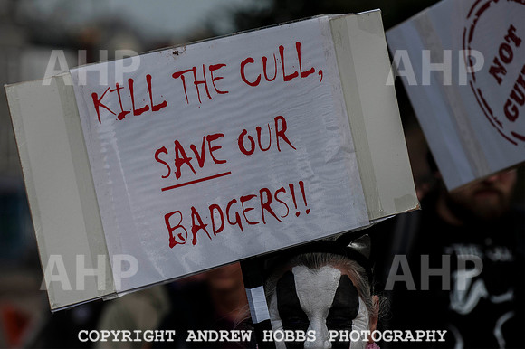 Exeter_march_ against_the_badger_cull 040