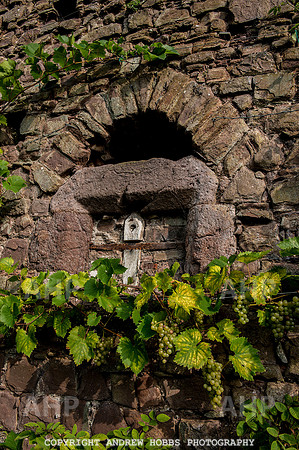 Tiverton Castle 019