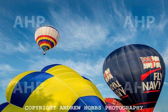 Tiverton Balloon Festival 133