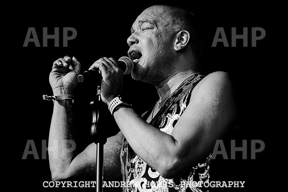 Odyssey - Watchet Music Festival 2022-8541