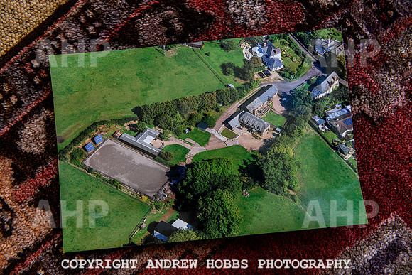 Eddie Bishop - Reality Escapade - EM July 2022-3787