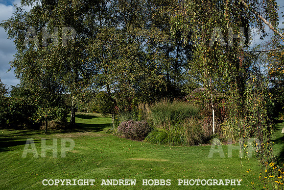 Vellacott Garden 2016-3546