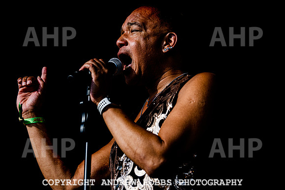 Odyssey - Watchet Music Festival 2022-8540